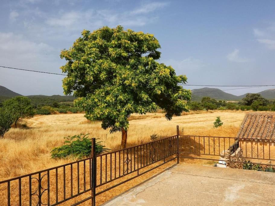 Апартаменти Cortijo Calma - Countryside Peace & Tranquility Oria Екстер'єр фото