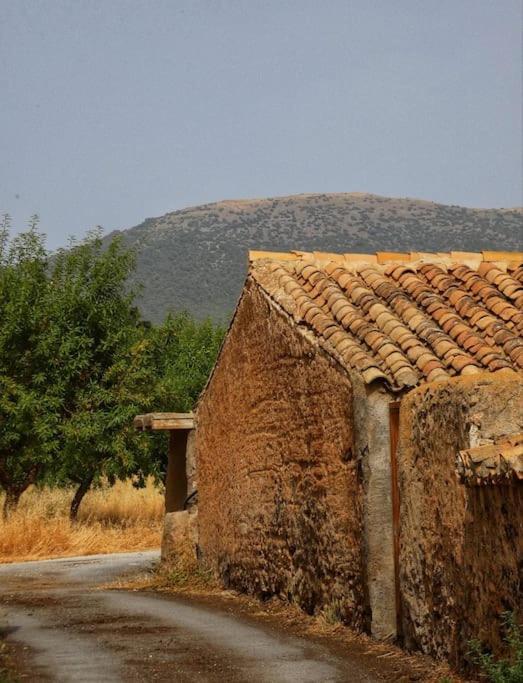 Апартаменти Cortijo Calma - Countryside Peace & Tranquility Oria Екстер'єр фото